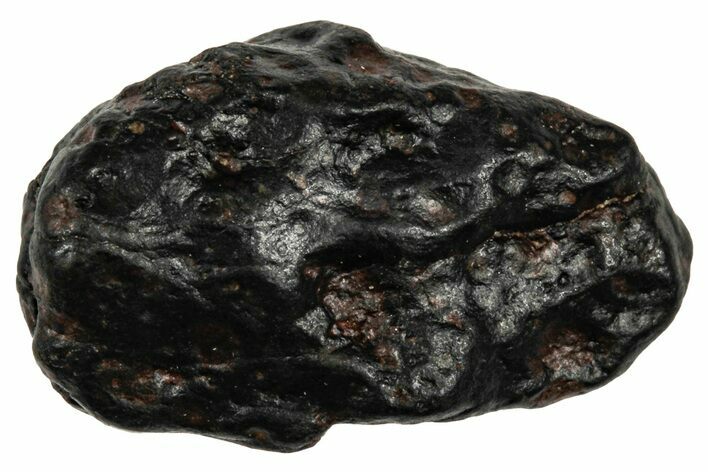 Chondrite Meteorite ( g) - NWA #333054